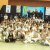 20 Campeonato Goiano de Capoeira